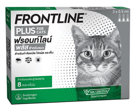 Frontline 